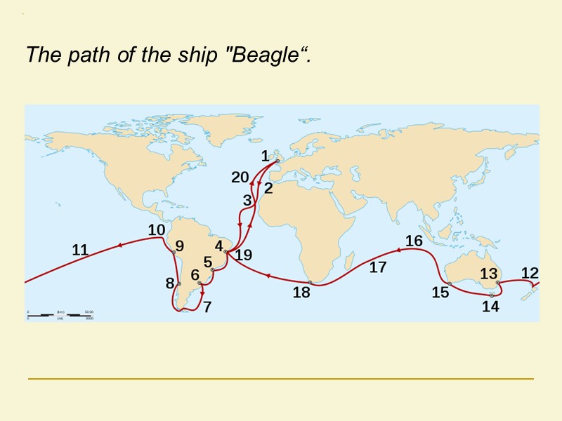 The path of the ship 